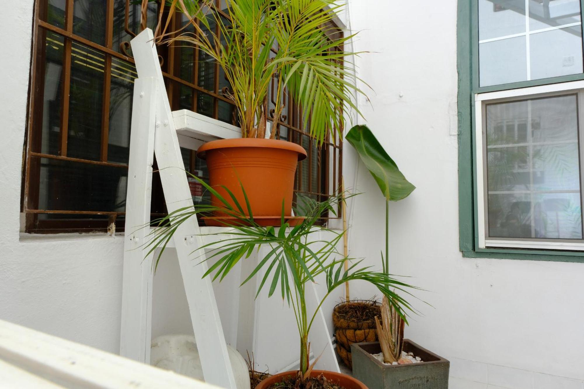 Rooftop Dreamhouse - 3Br With Seaviews Santa Cruz de la Palma  Zewnętrze zdjęcie
